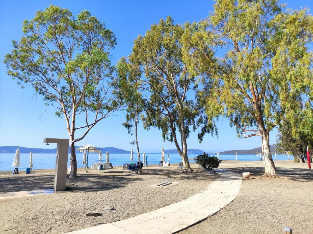 Porto Hydra - Villa Mirani Ermioni Bagian luar foto